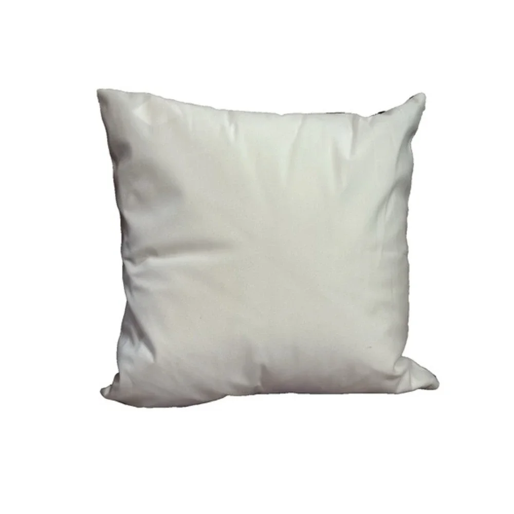 NEW novelty‎ throw pillow 18x18 inches pillowcase & insert included music
